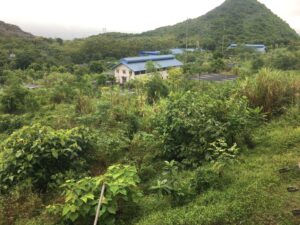 Bear Sanctuary-Cuc Phuong National Park Full Day Trip