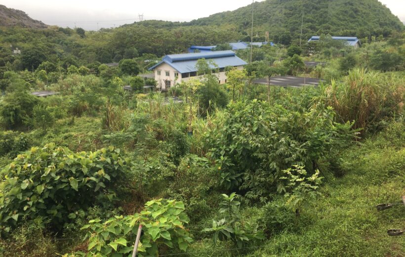 Bear Sanctuary-Cuc Phuong National Park Full Day Trip